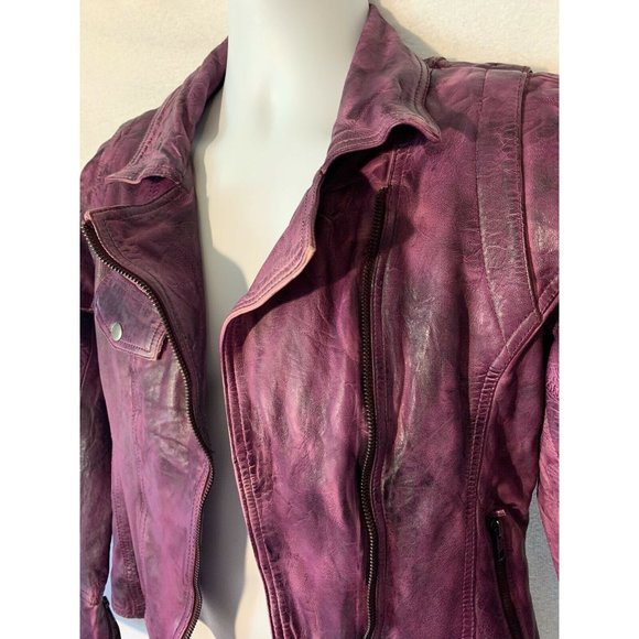NWT Sold Out Import Joe Browns Purple Distressed - Picture 2 of 12